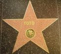 star.jpg